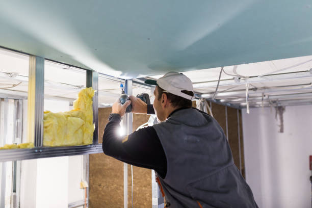 Best Professional Insulation Contractor  in Catawissa, PA