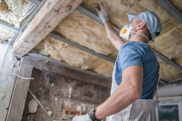 Best Home Insulation Services  in Catawissa, PA