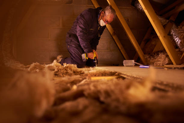 Insulation Inspection Services in Catawissa, PA